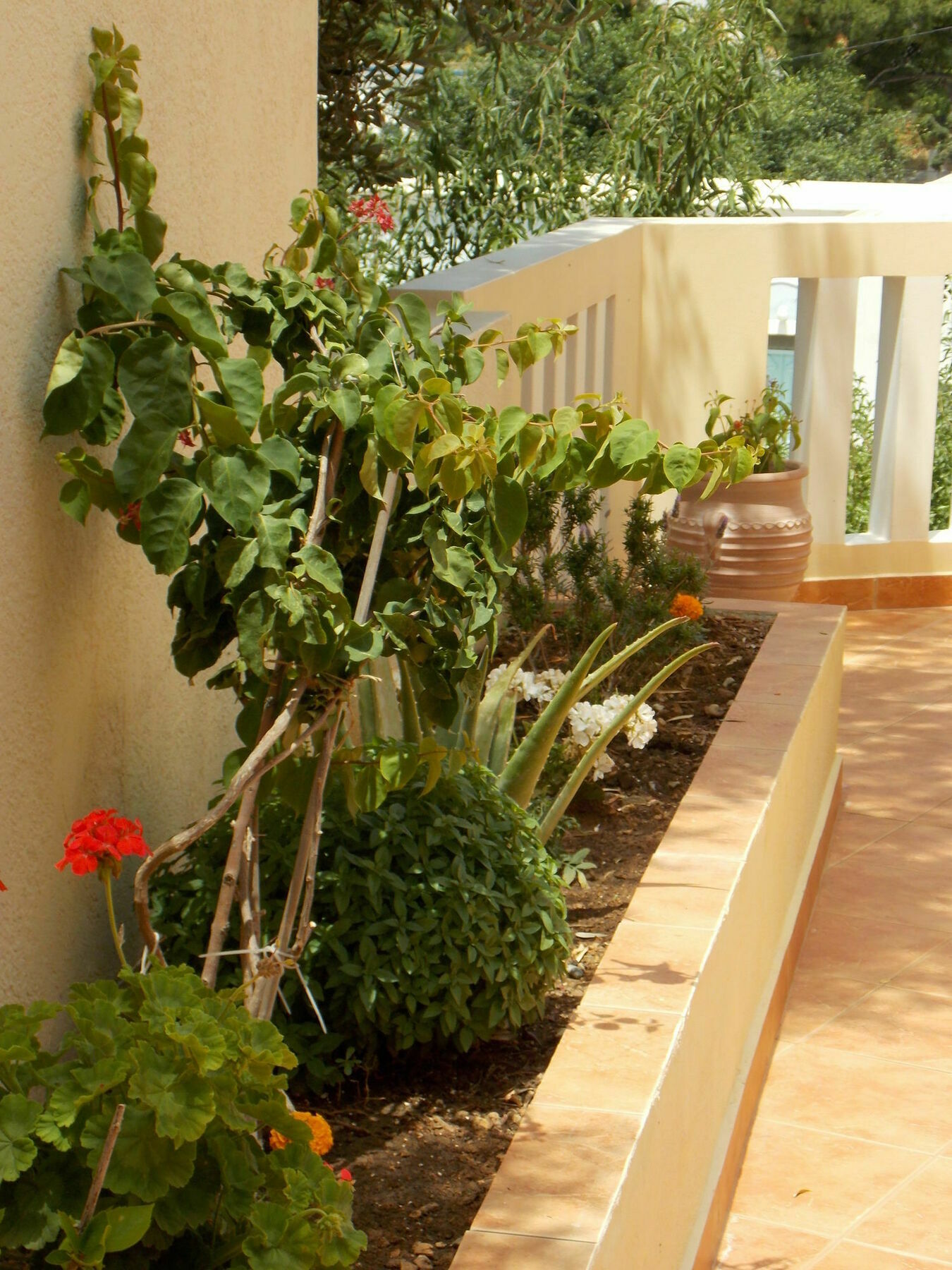 Myrties Boutique Apartments Masouri Eksteriør bilde